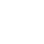 The Nova_submark_north star badge_white